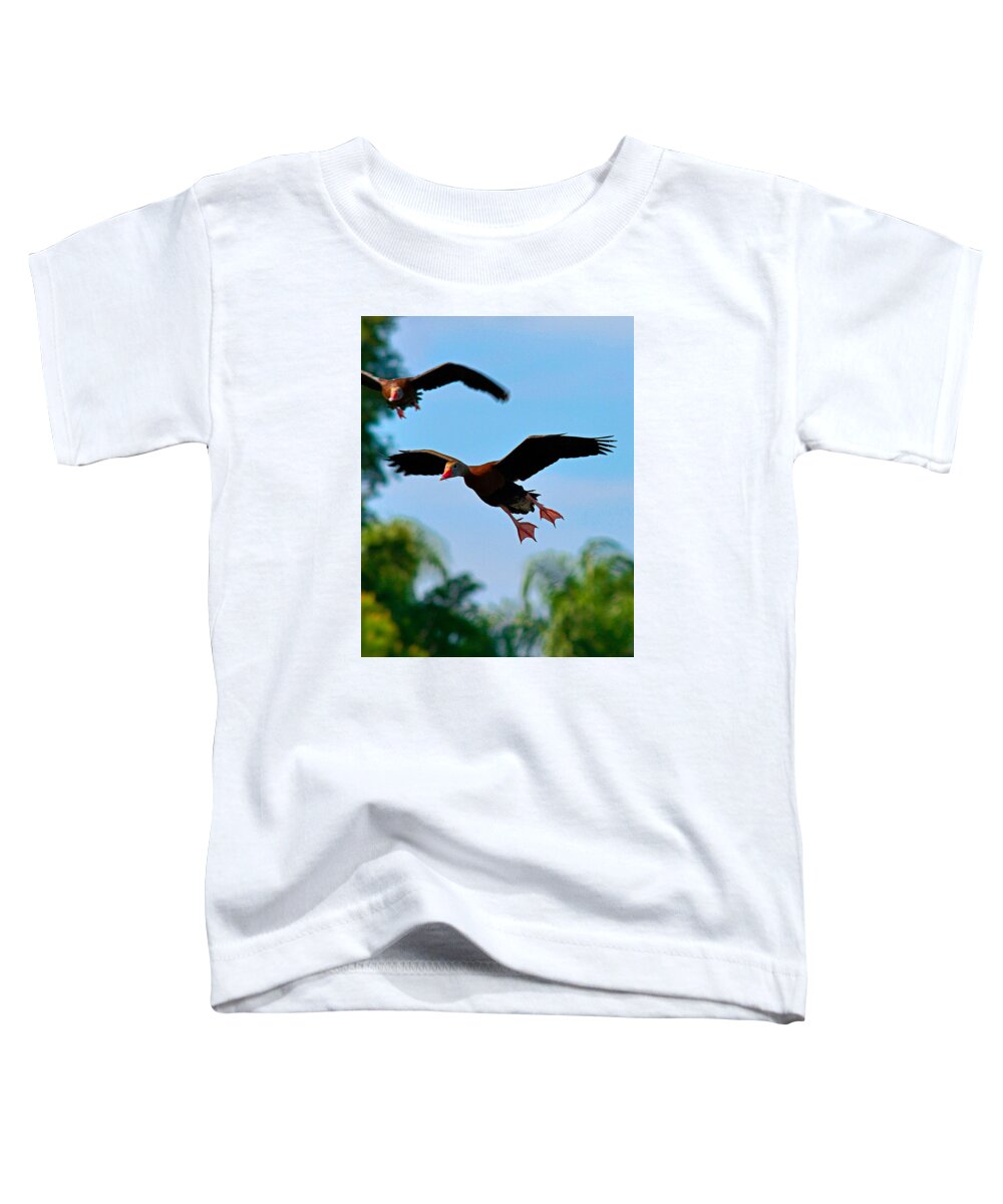 Birds Toddler T-Shirt featuring the photograph 3 D by Alison Belsan Horton