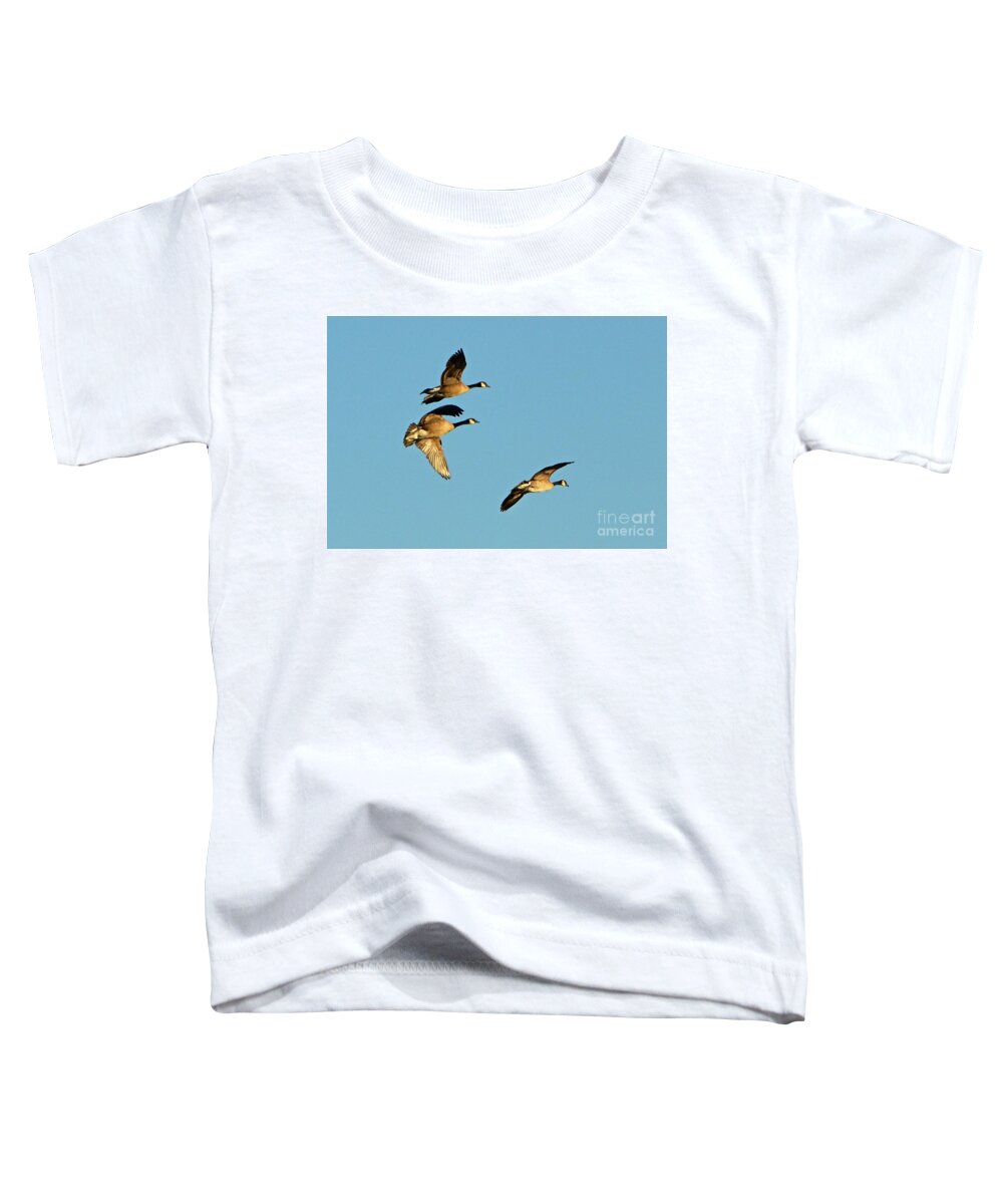 3 Geese Toddler T-Shirt featuring the photograph 3 Geese in Flight by Cindy Schneider