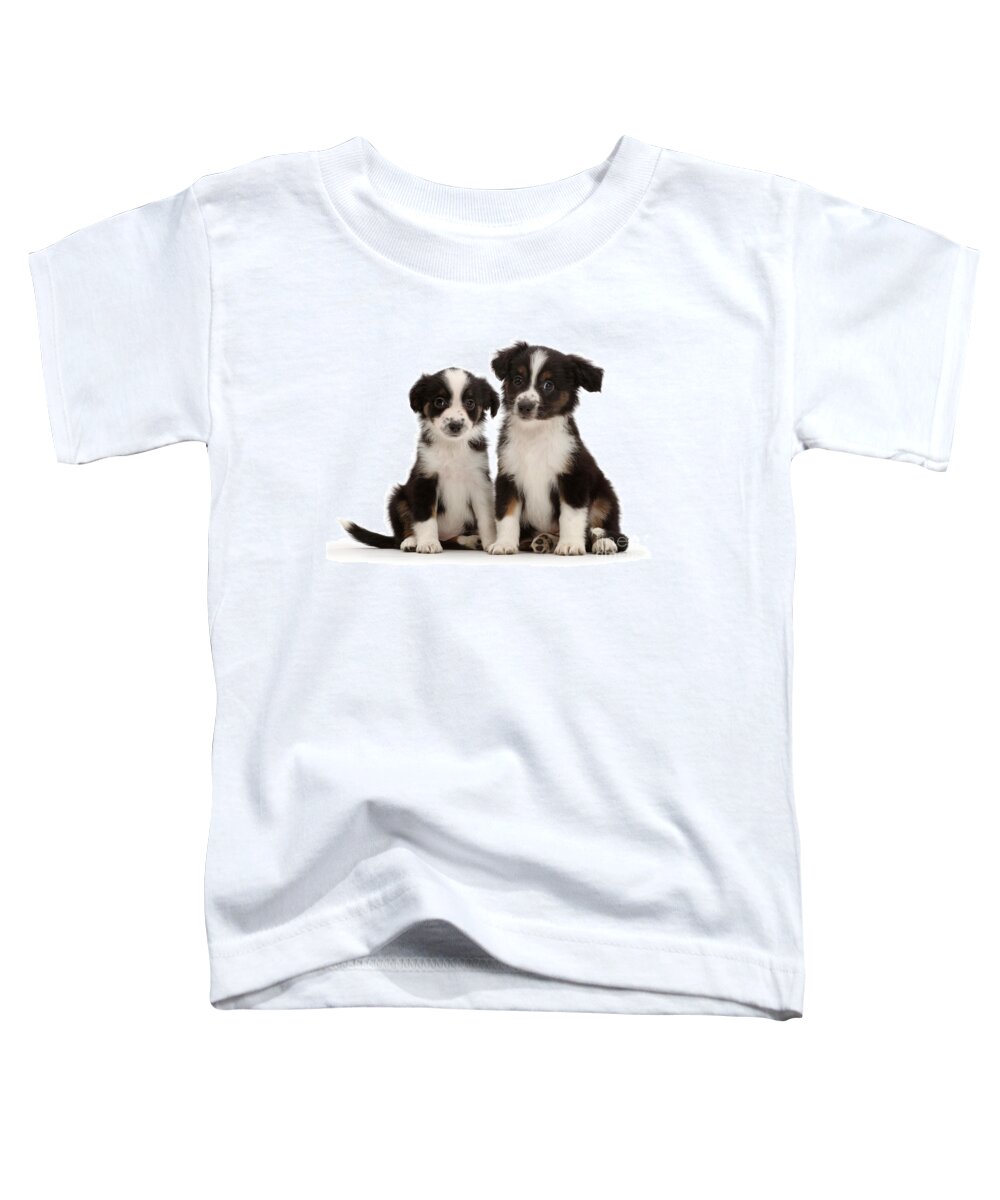 Nature Toddler T-Shirt featuring the photograph Mini American Shepherd Puppies #3 by Mark Taylor