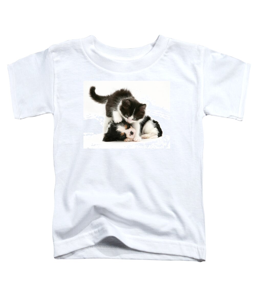 Animal Toddler T-Shirt featuring the photograph Sleeping Puppy by Jane Burton