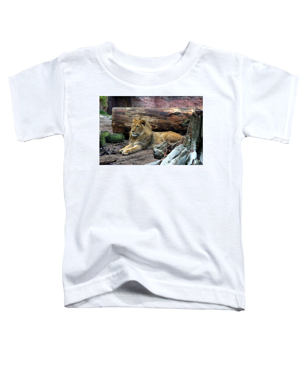 Hannover Zoo Germany Toddler T-Shirt featuring the photograph Hannover Zoo GERMANY by Paul James Bannerman