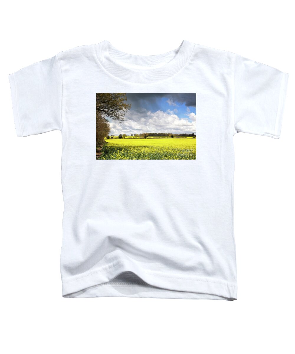 Rape Toddler T-Shirt featuring the photograph A field of rape flowers by Jane Rix
