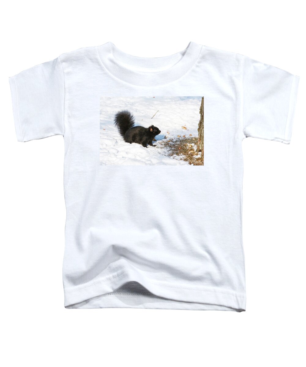 Squirrel Toddler T-Shirt featuring the photograph A moment of decision by Tatiana Travelways