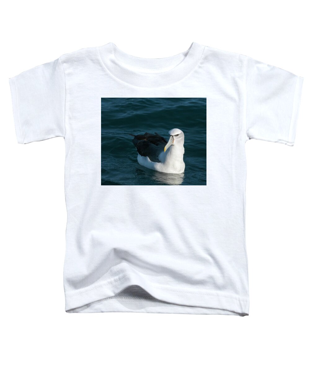 Albatross Toddler T-Shirt featuring the photograph A portrait of an Albatross by Usha Peddamatham