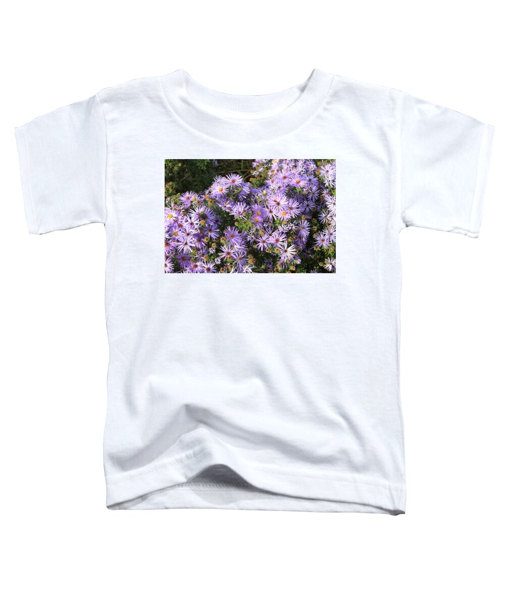 Lavender Strawflowers Toddler T-Shirt featuring the photograph Admiring the sun by Karen Ruhl