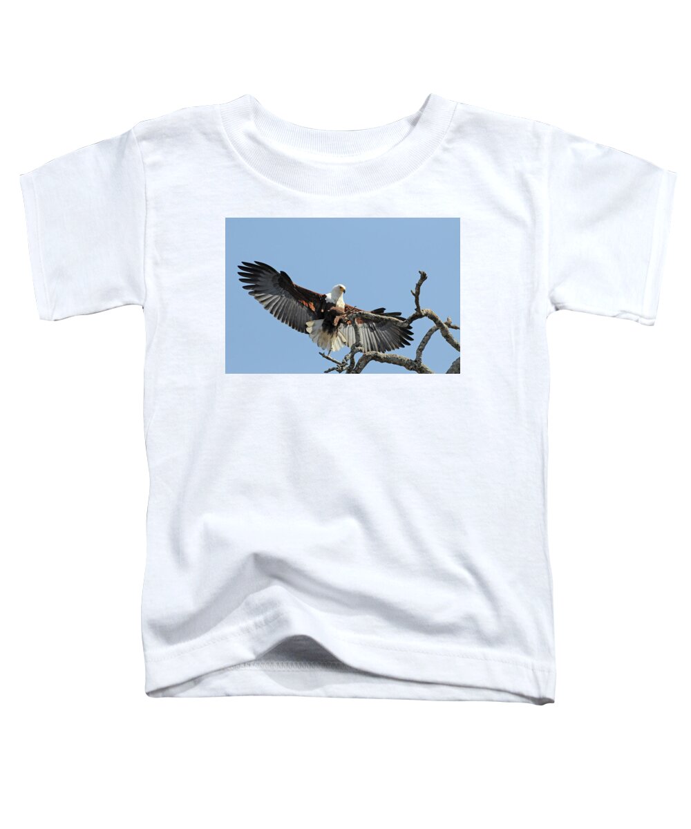 Africa Toddler T-Shirt featuring the photograph African Fish Eagle by Ted Keller