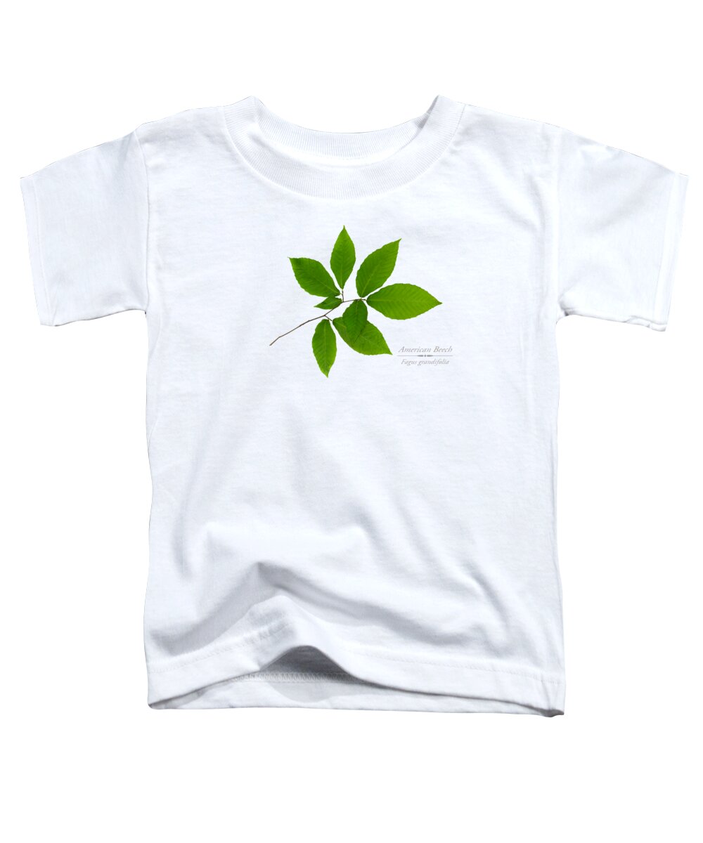 Leaves Toddler T-Shirt featuring the mixed media American Beech by Christina Rollo