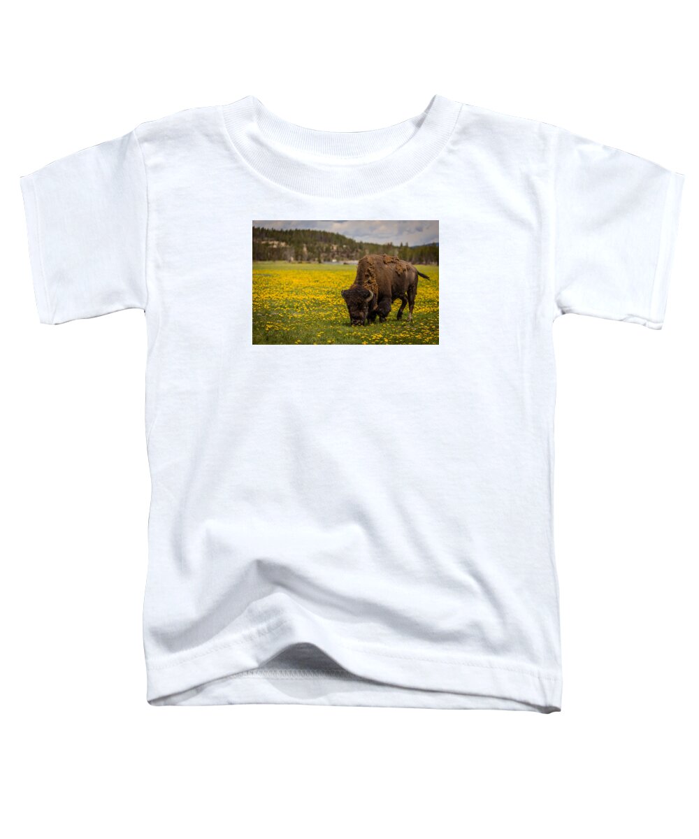 Love Toddler T-Shirt featuring the photograph American Bison by Gary Migues