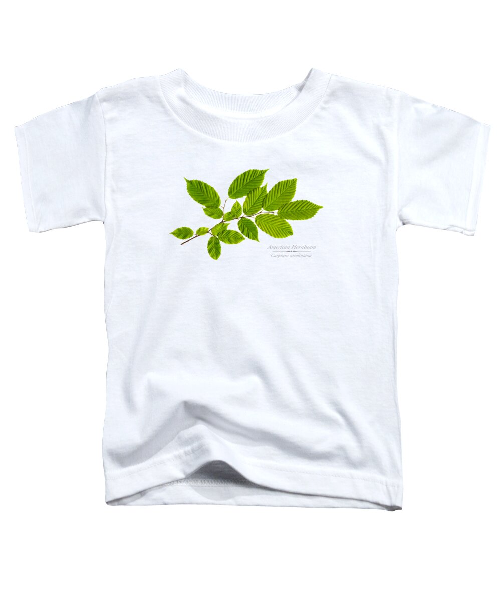 Tree Toddler T-Shirt featuring the photograph American Hornbeam by Christina Rollo