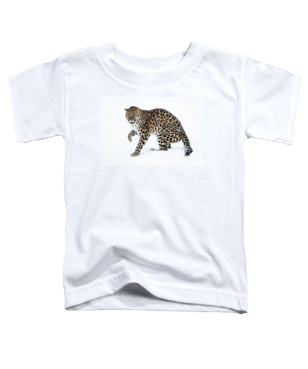 Angry Amur Leopard Toddler T-Shirt featuring the photograph Angry Amur Leopard by Elizabeth Waitinas