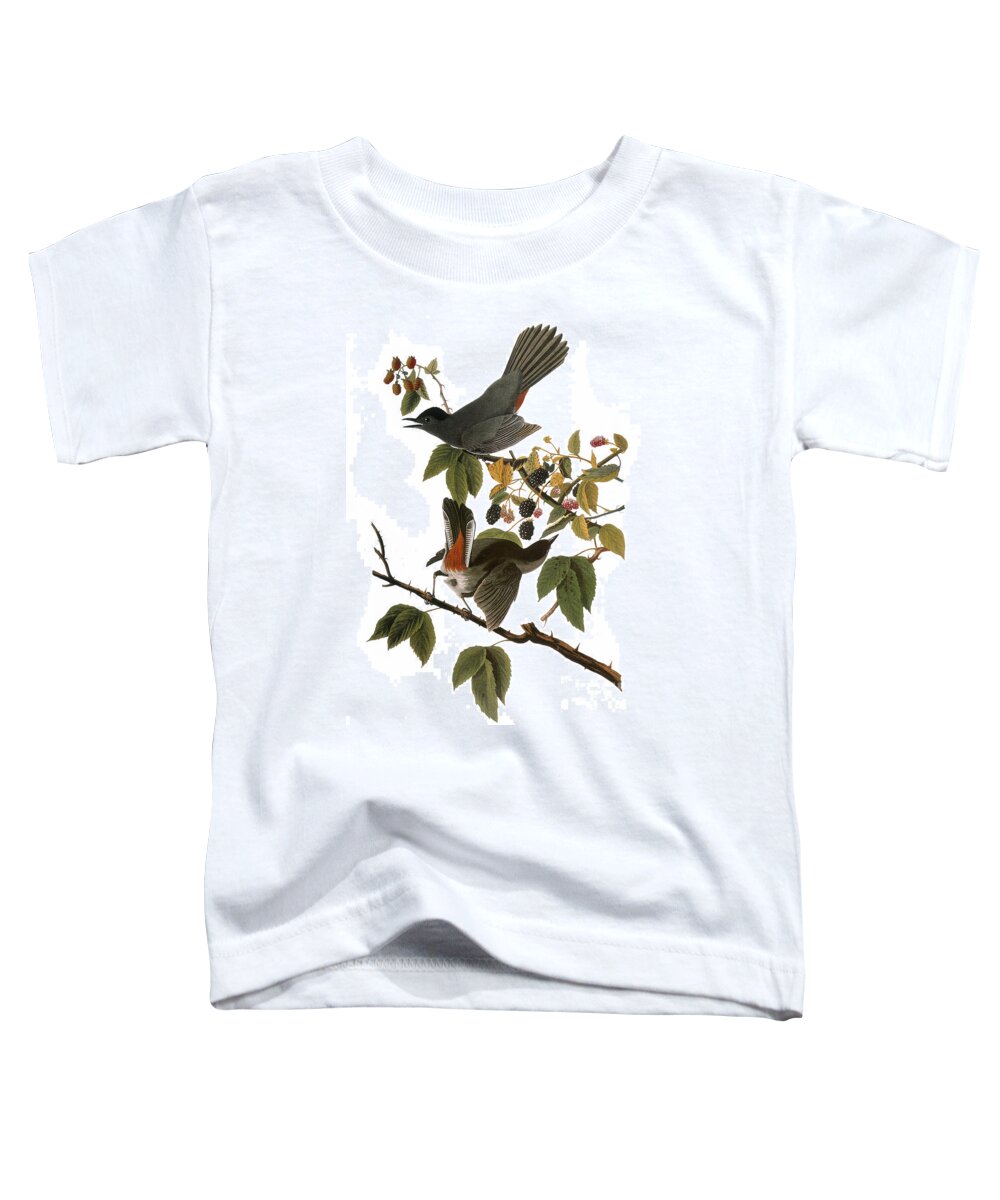 1827 Toddler T-Shirt featuring the photograph Audubon: Catbird, (1827-38) by Granger