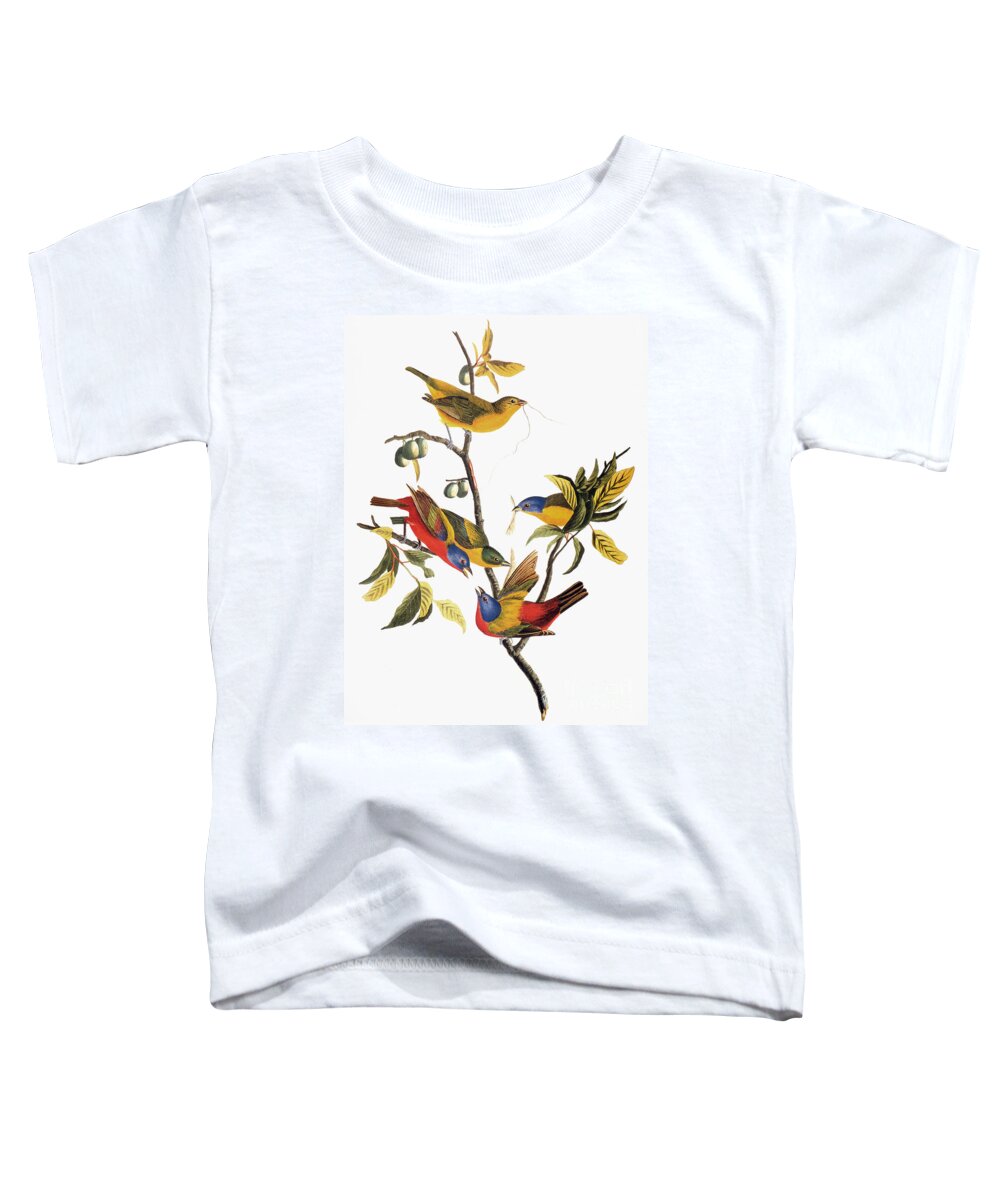 1838 Toddler T-Shirt featuring the photograph Audubon: Sparrows by Granger