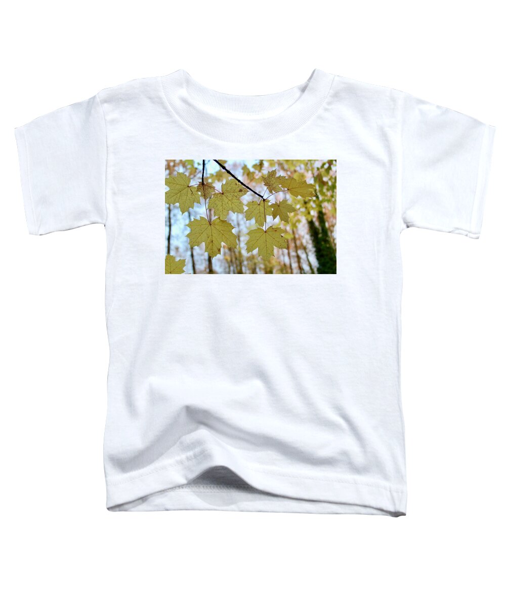 Leaves Toddler T-Shirt featuring the photograph Autumn Beauty by Brian Eberly