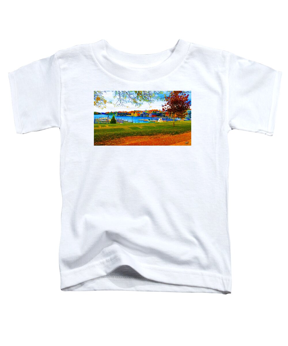 Fall Toddler T-Shirt featuring the photograph Autumn On Lake Charlevoix by CHAZ Daugherty