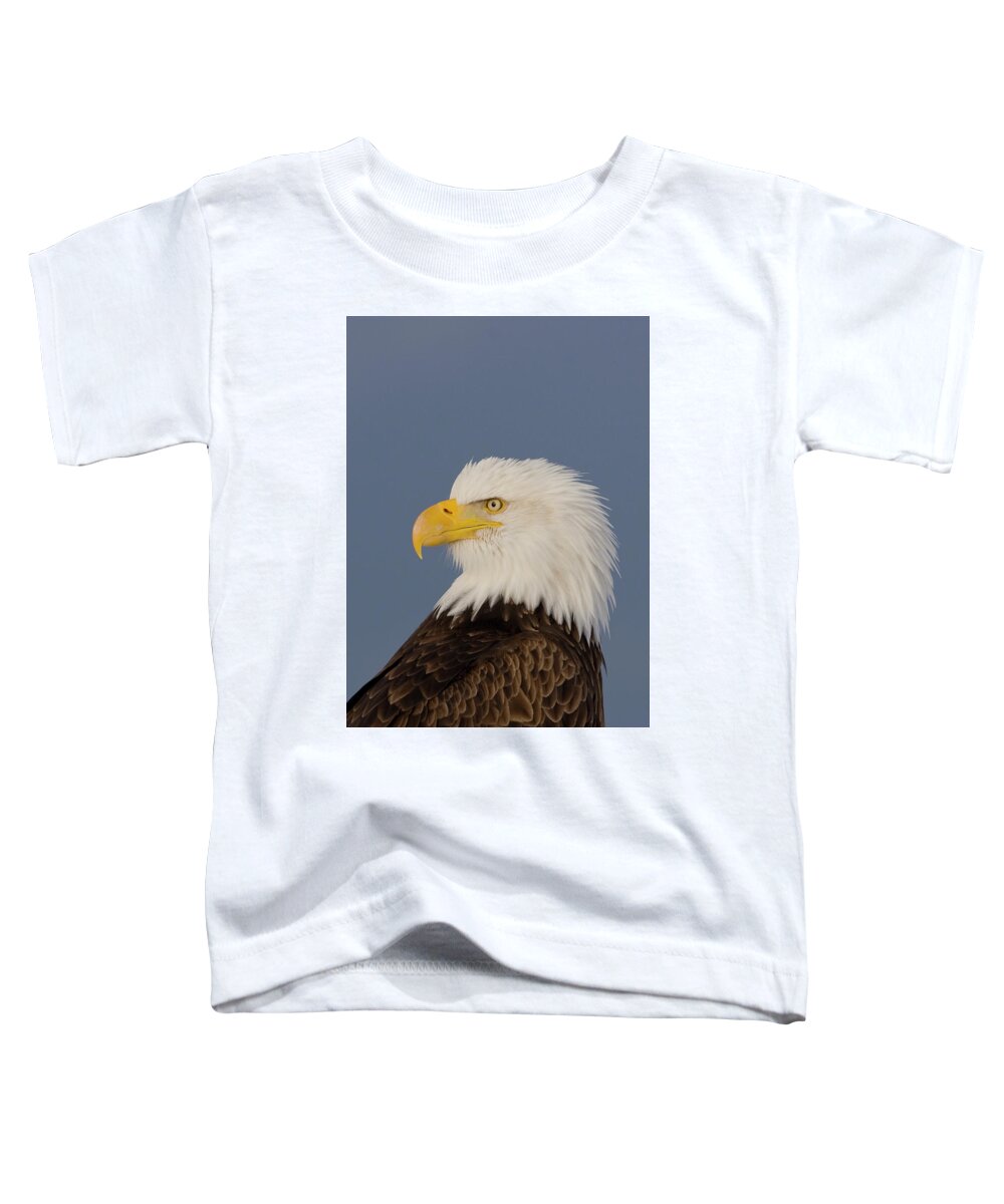 Eagles Toddler T-Shirt featuring the photograph Bald Eagle Portrait by Mark Miller