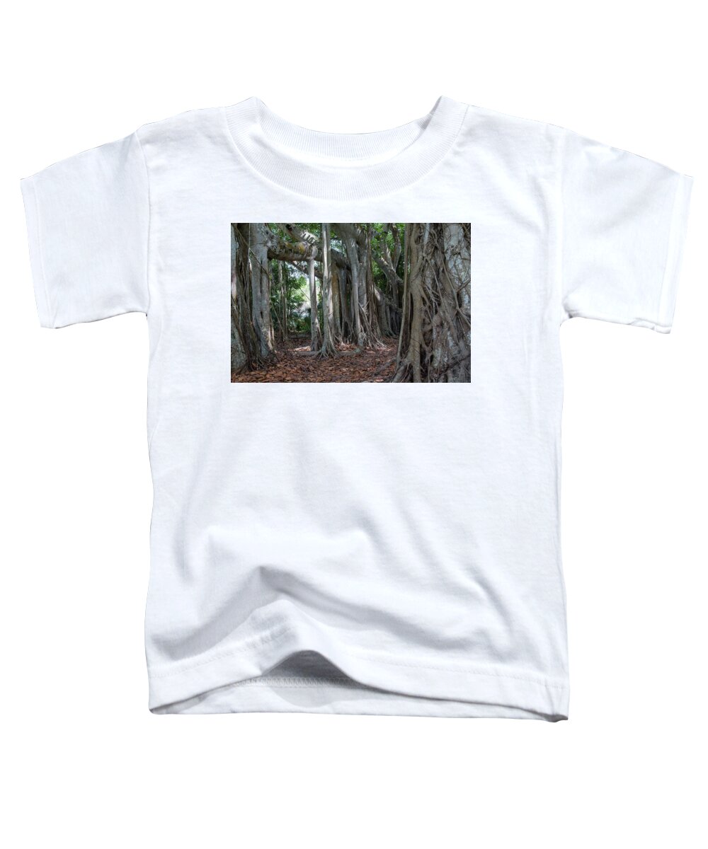 Ringling Museum Garden Walk Toddler T-Shirt featuring the photograph Banyan Grove by Richard Goldman