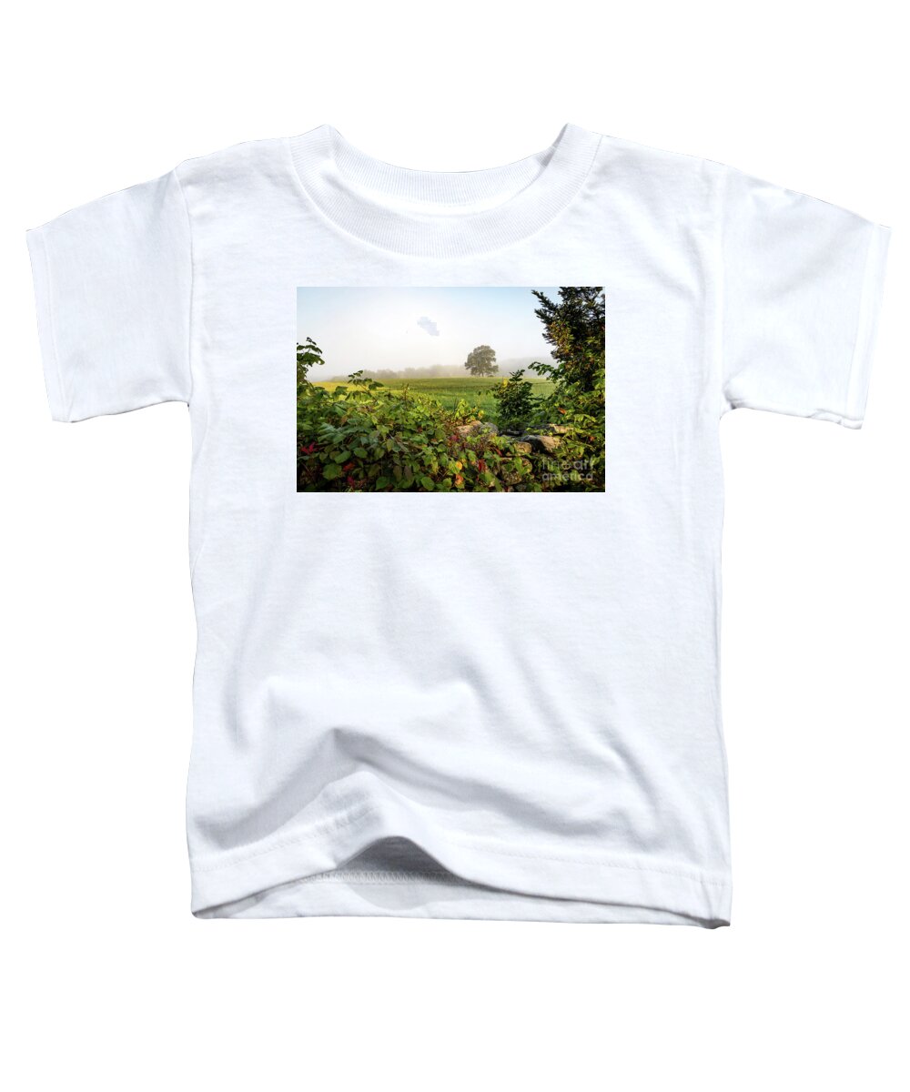 Barbed Wire Fence Toddler T-Shirt featuring the photograph Misty Meadow by Jim Gillen