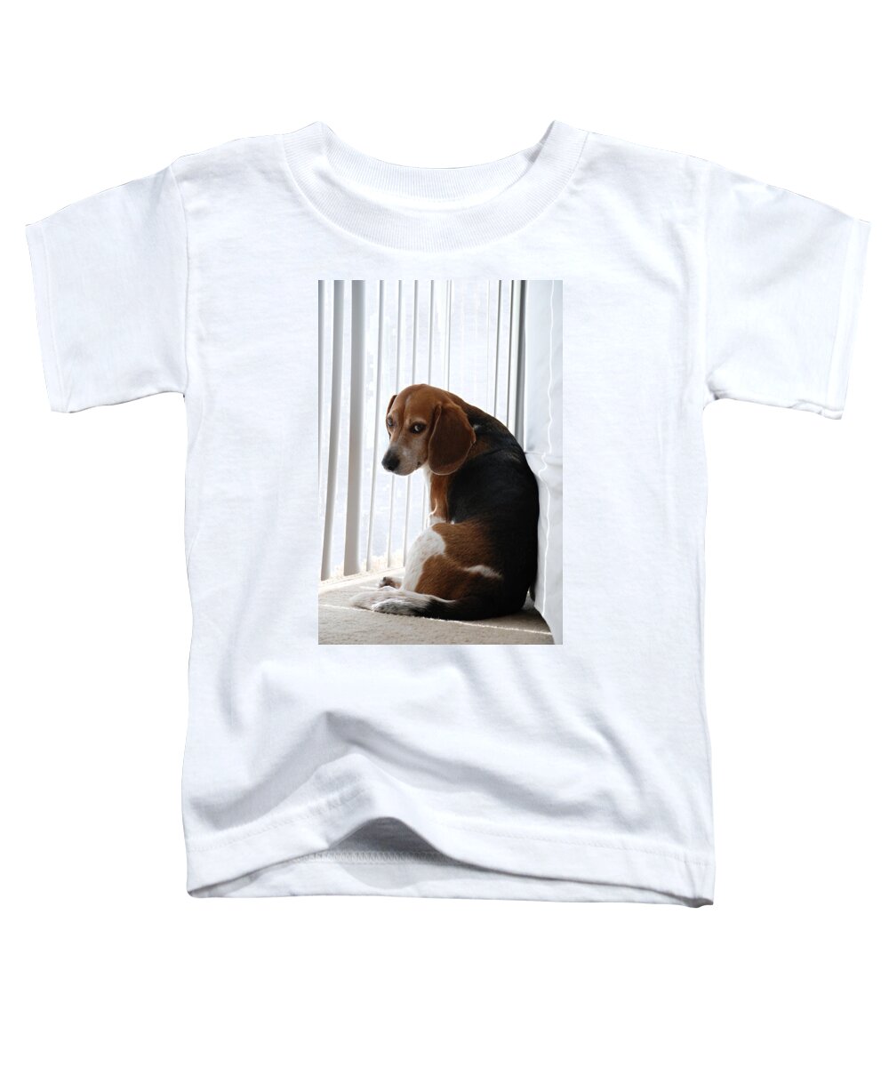 Beagle Toddler T-Shirt featuring the photograph Beagle Attitude by Jennifer Ancker