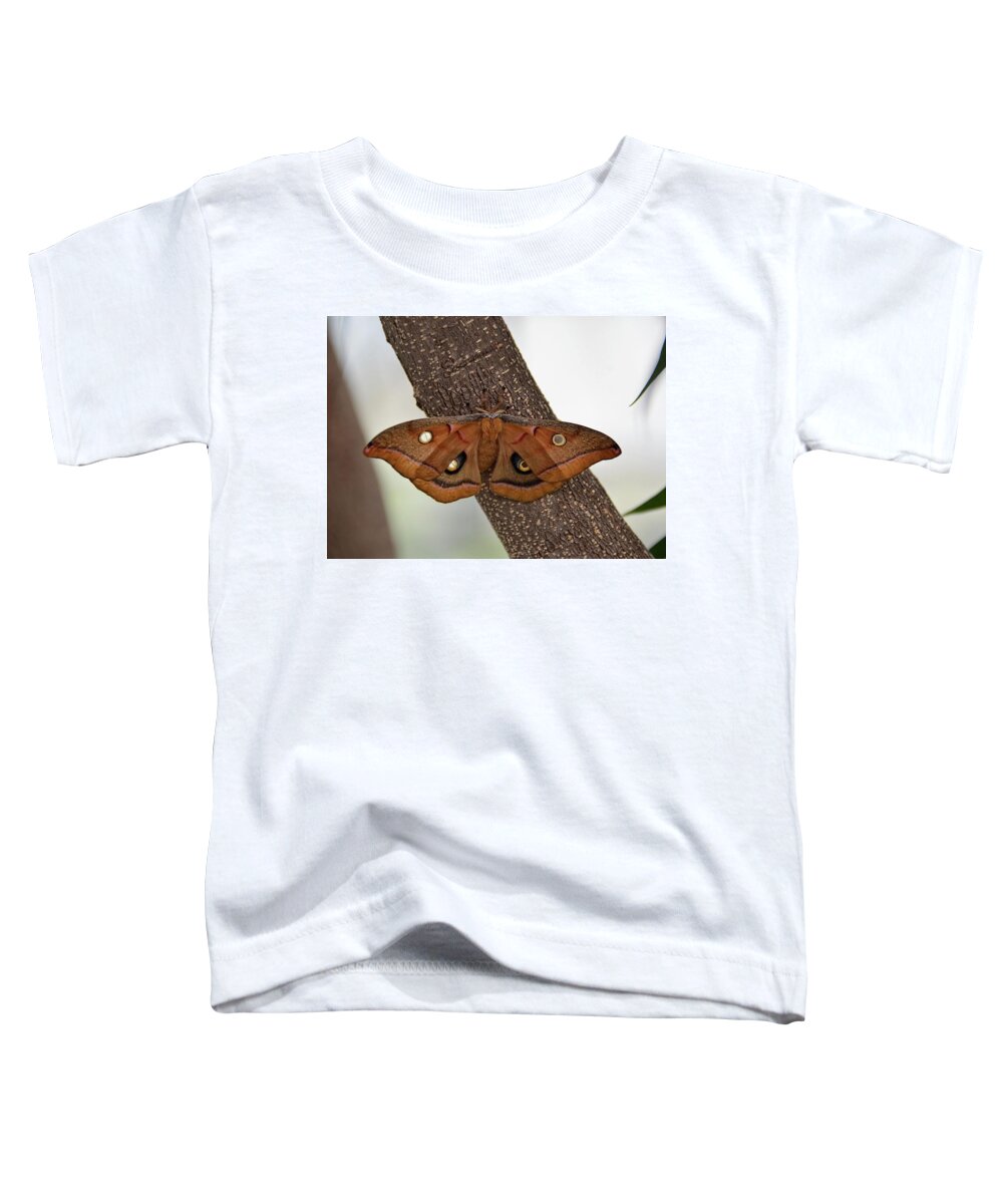Moth Toddler T-Shirt featuring the photograph Beautiful moth by Ronda Ryan
