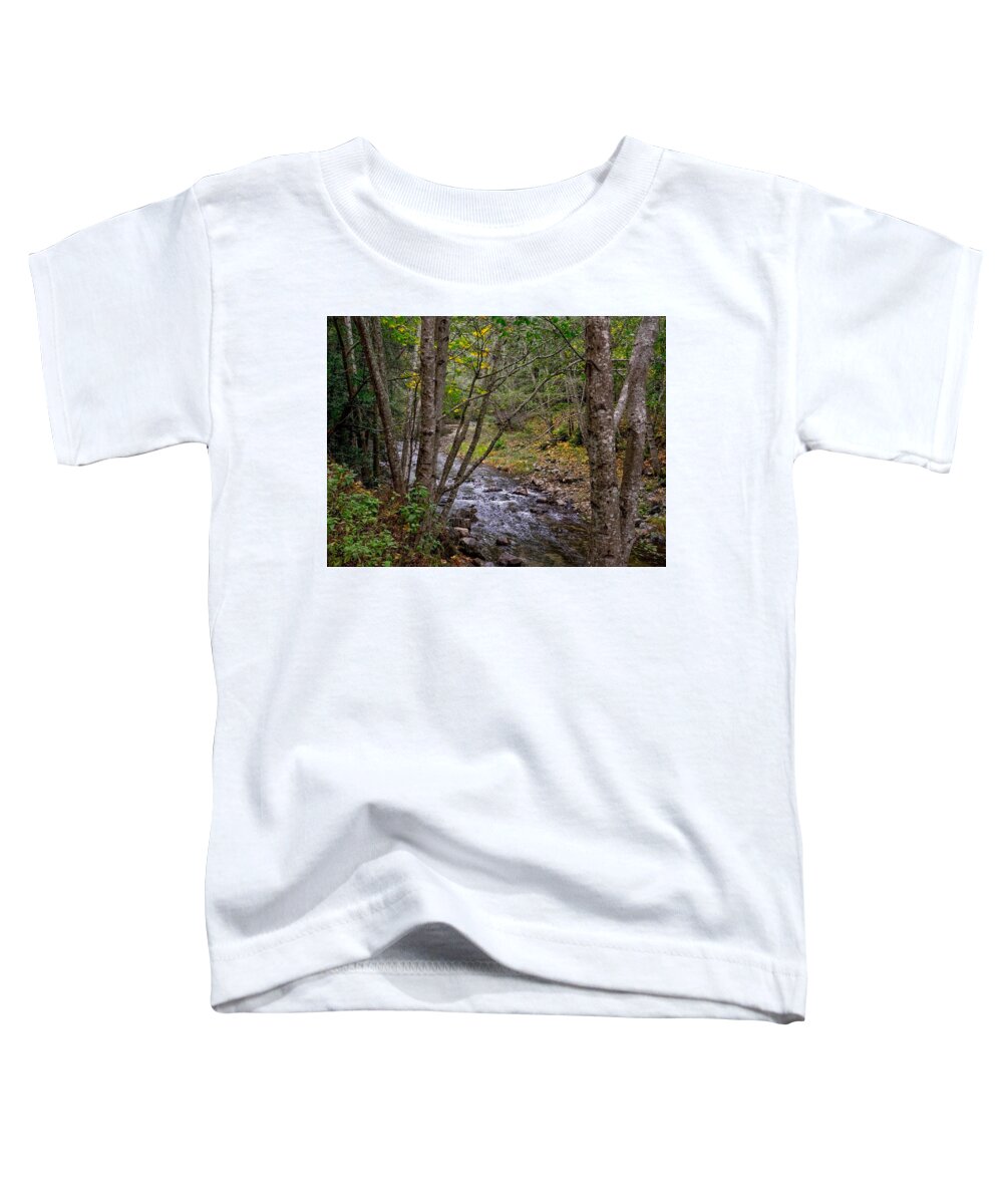 River Toddler T-Shirt featuring the photograph Big Sur River Near the Grange Hall by Derek Dean