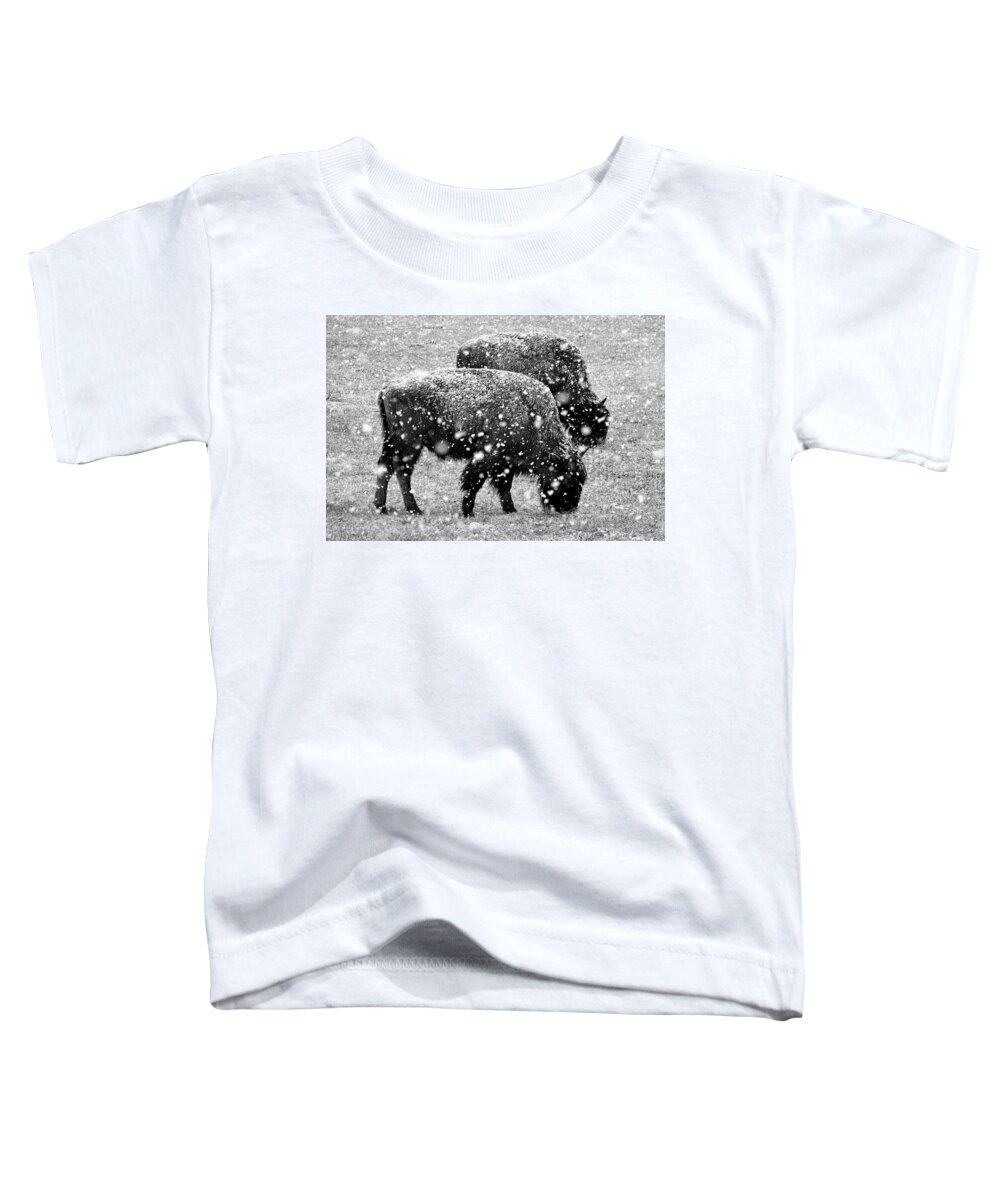 Bison Toddler T-Shirt featuring the photograph Bison in Snow by JustJeffAz Photography