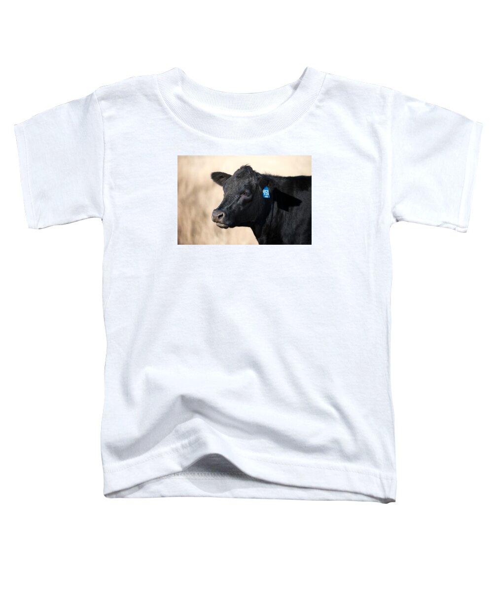 Black Angus Toddler T-Shirt featuring the photograph Black Angus Cow by Todd Klassy