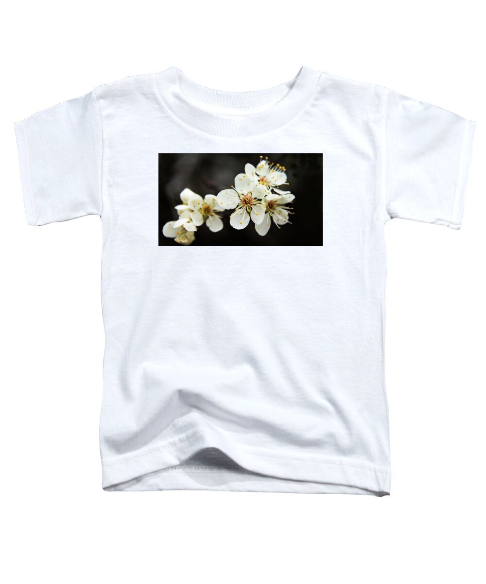 Trees Toddler T-Shirt featuring the photograph Blossoms of Spring by Holly Ross