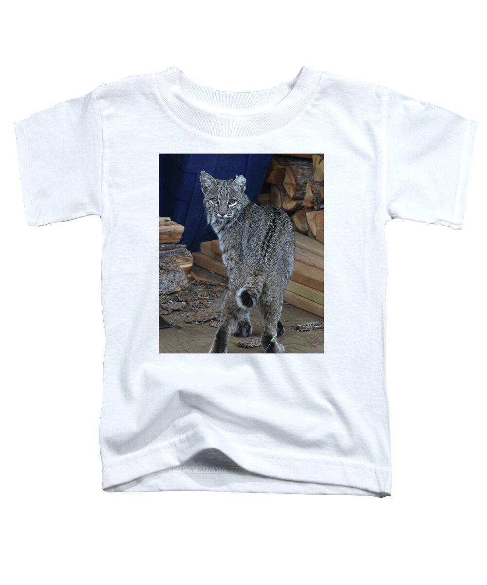 Bobcat Toddler T-Shirt featuring the photograph Bobcat by Ben Foster