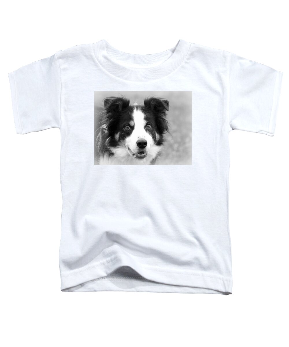 Border Collies Toddler T-Shirt featuring the photograph Boder Collie BW by Sue Long