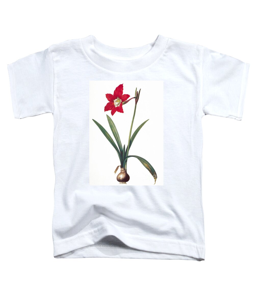 1800 Toddler T-Shirt featuring the photograph Botany: Lily by Granger