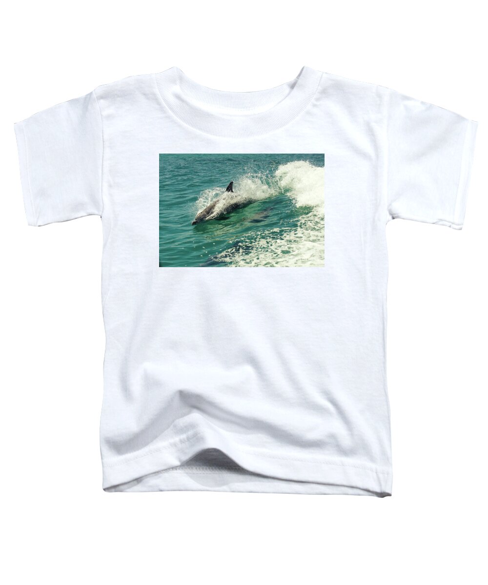 Bottlenose Dolphin Toddler T-Shirt featuring the photograph Bottlenose Dolphin by Cassandra Buckley