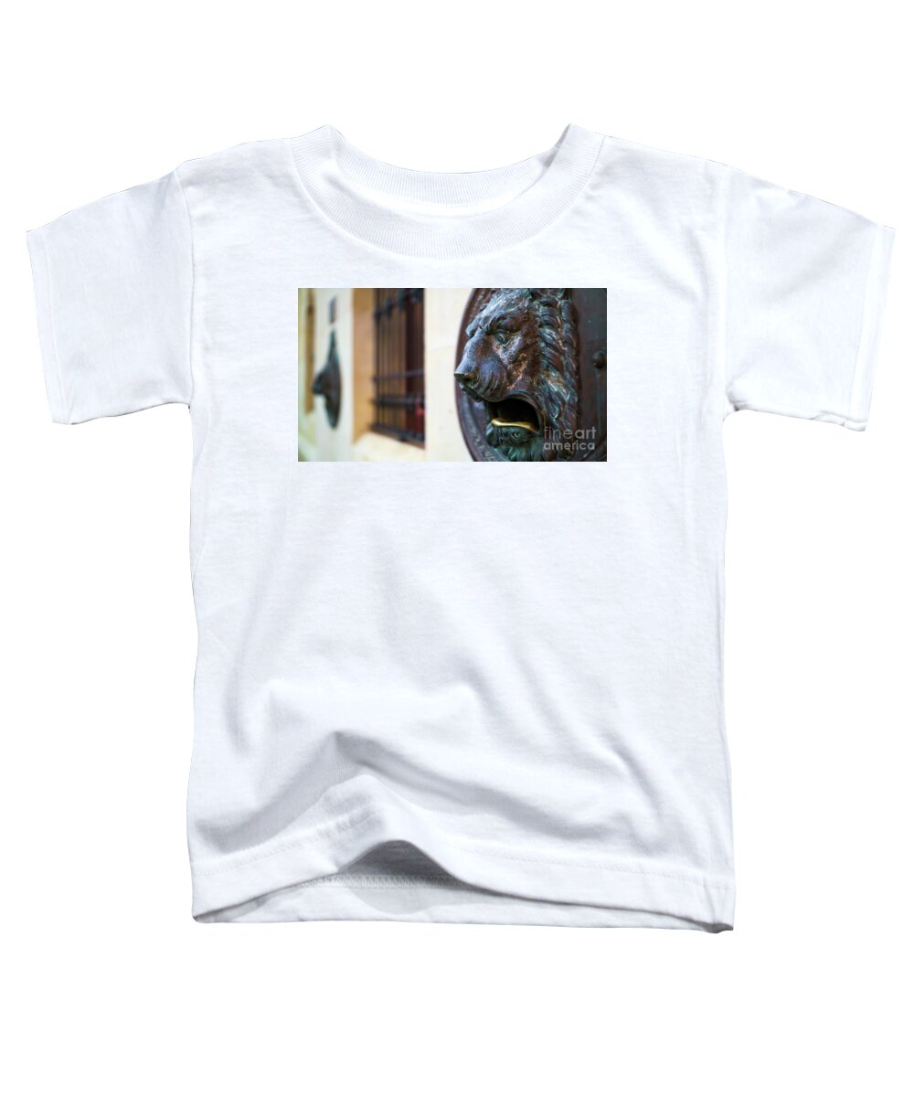 Mouth Toddler T-Shirt featuring the photograph Bronce Lion Mailbox by Pablo Avanzini