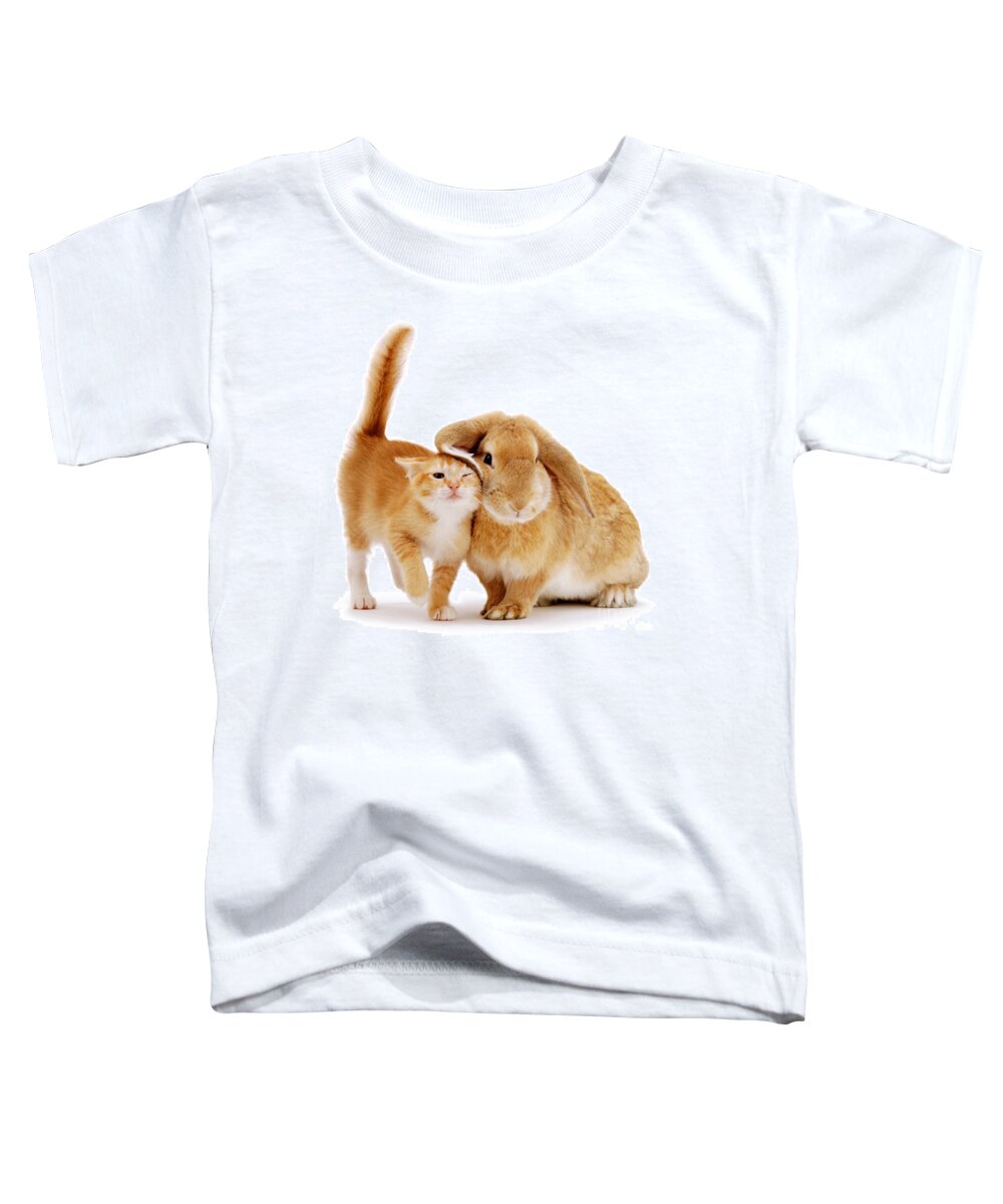 Kitten Toddler T-Shirt featuring the photograph Bunny Rubbing by Warren Photographic