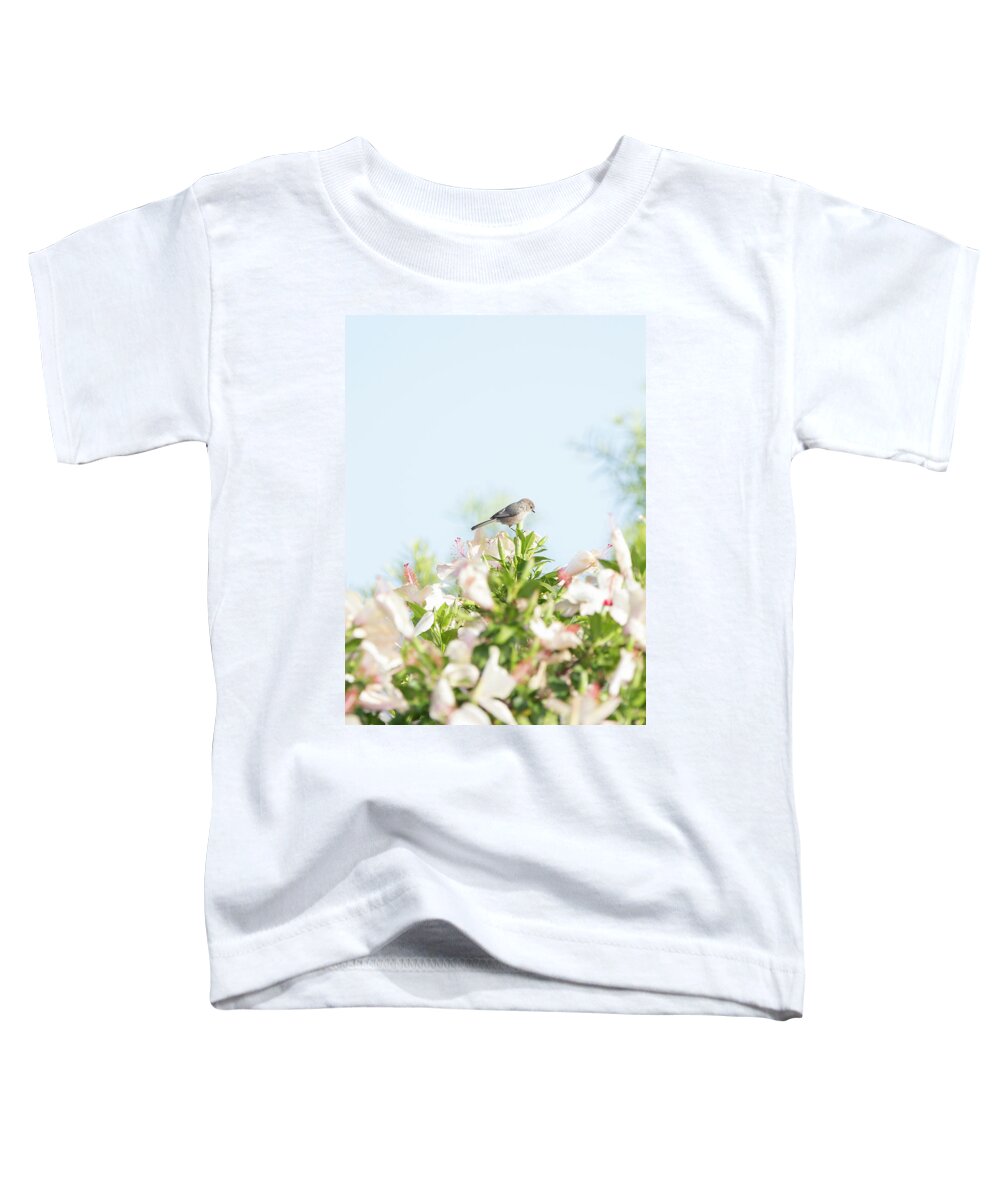 Bushtit Toddler T-Shirt featuring the photograph Bushtit Atop the Hibiscus by Susan Gary
