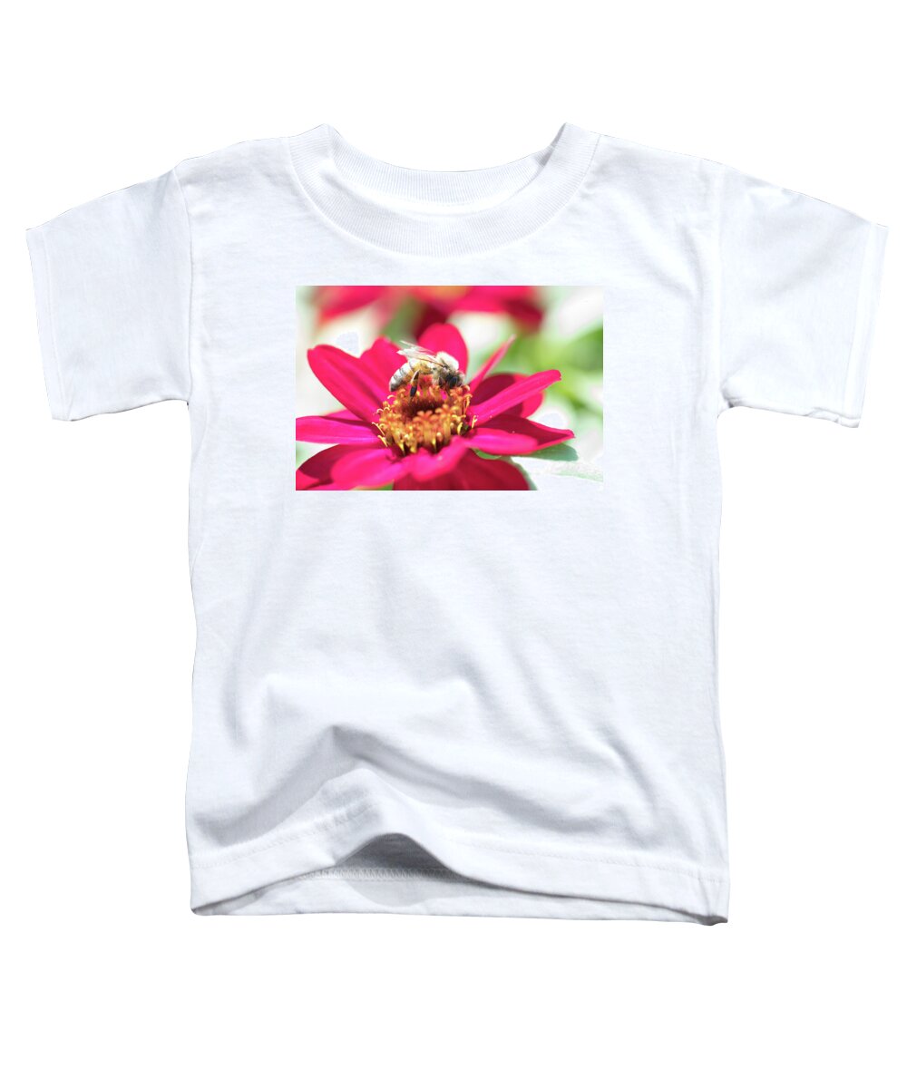 Apiary Bee Bees Buzzing Insect Closeup Close-up Flower Nature Natural Flowers Pollen Outside Outdoors Botanic Botanical Garden Gardening Ma Mass Massachusetts Newengland New England U.s.a. Usa Brian Hale Brianhalephoto Toddler T-Shirt featuring the photograph Busy bee 1 by Brian Hale