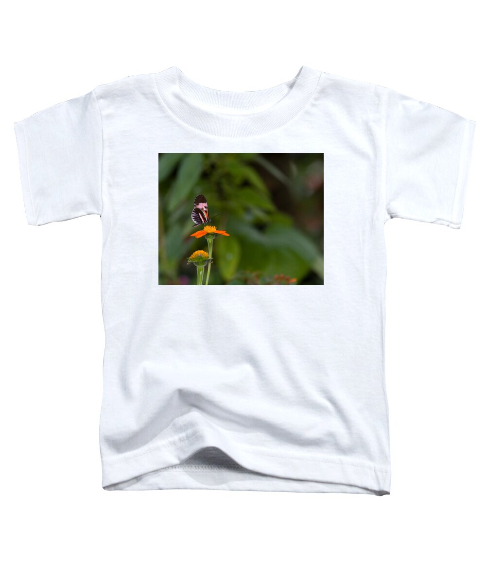 Butterfly Toddler T-Shirt featuring the photograph Butterfly 26 by Michael Fryd
