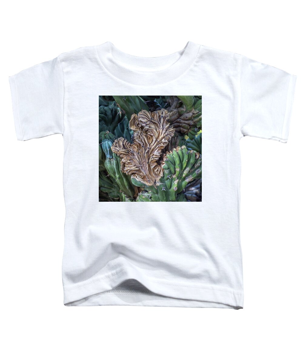 Cactus Toddler T-Shirt featuring the photograph Cactus Abstract 5744-041018-1cr by Tam Ryan