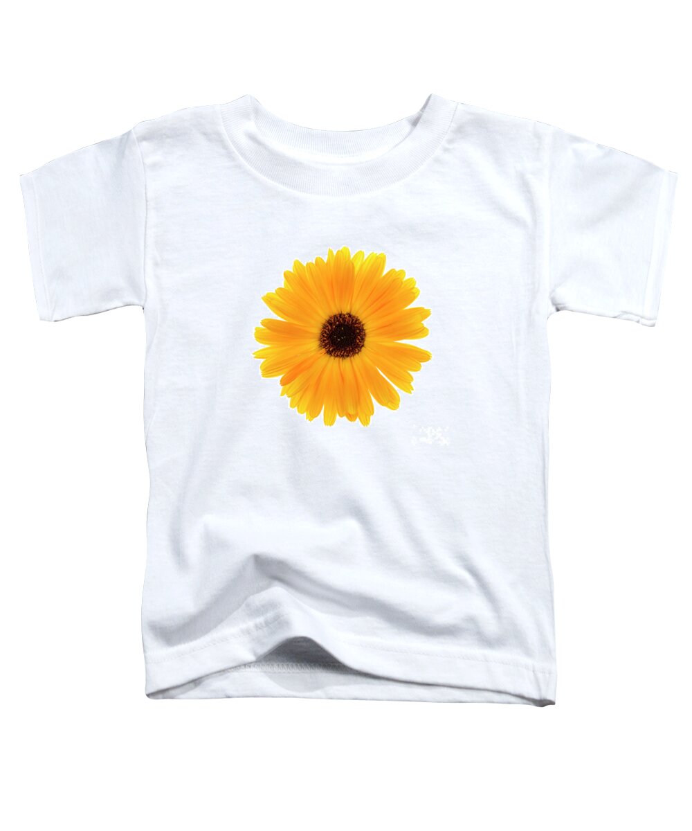 Calendula Toddler T-Shirt featuring the photograph Calendula flower by Elena Elisseeva