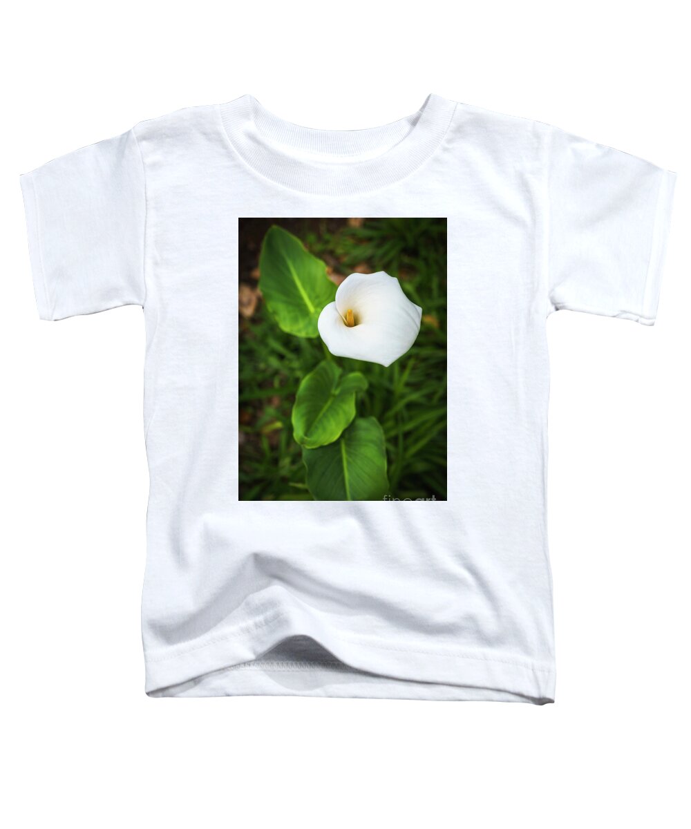 Andalucia Toddler T-Shirt featuring the photograph Calla Flower Genoves Park Cadiz Spain by Pablo Avanzini