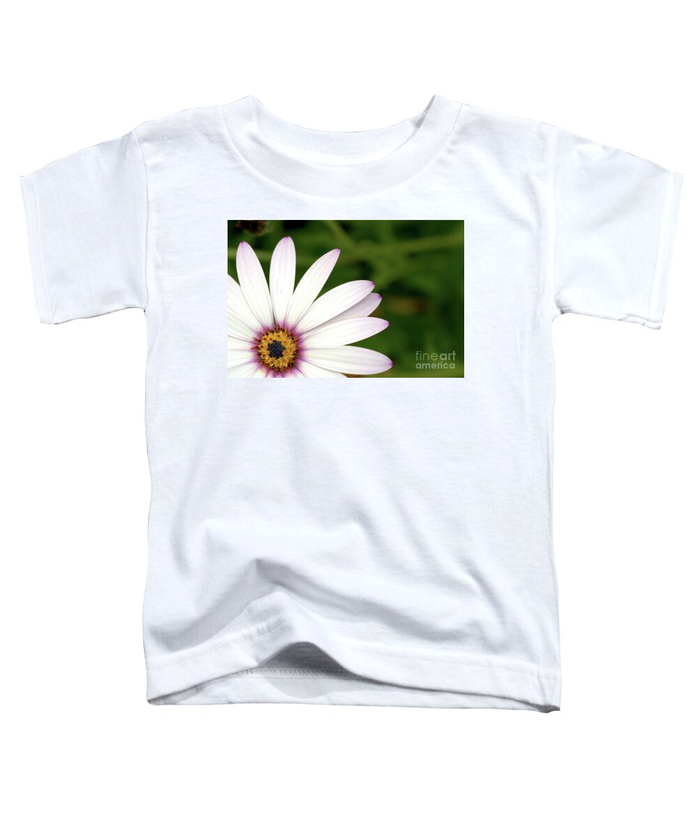 Flower Toddler T-Shirt featuring the photograph Cape Daisy by Baggieoldboy