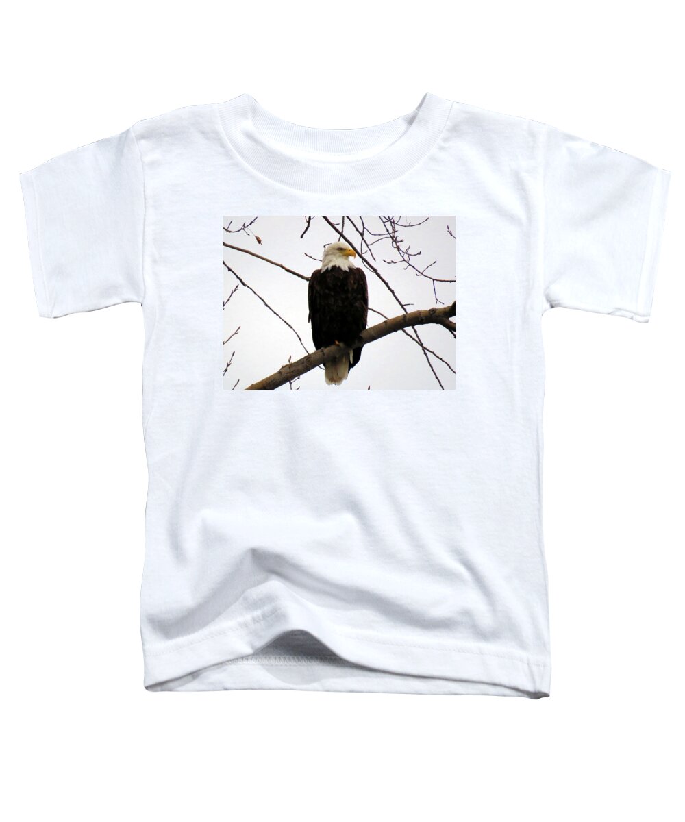 1000 Islands Toddler T-Shirt featuring the photograph Cape Eagle by Dennis McCarthy