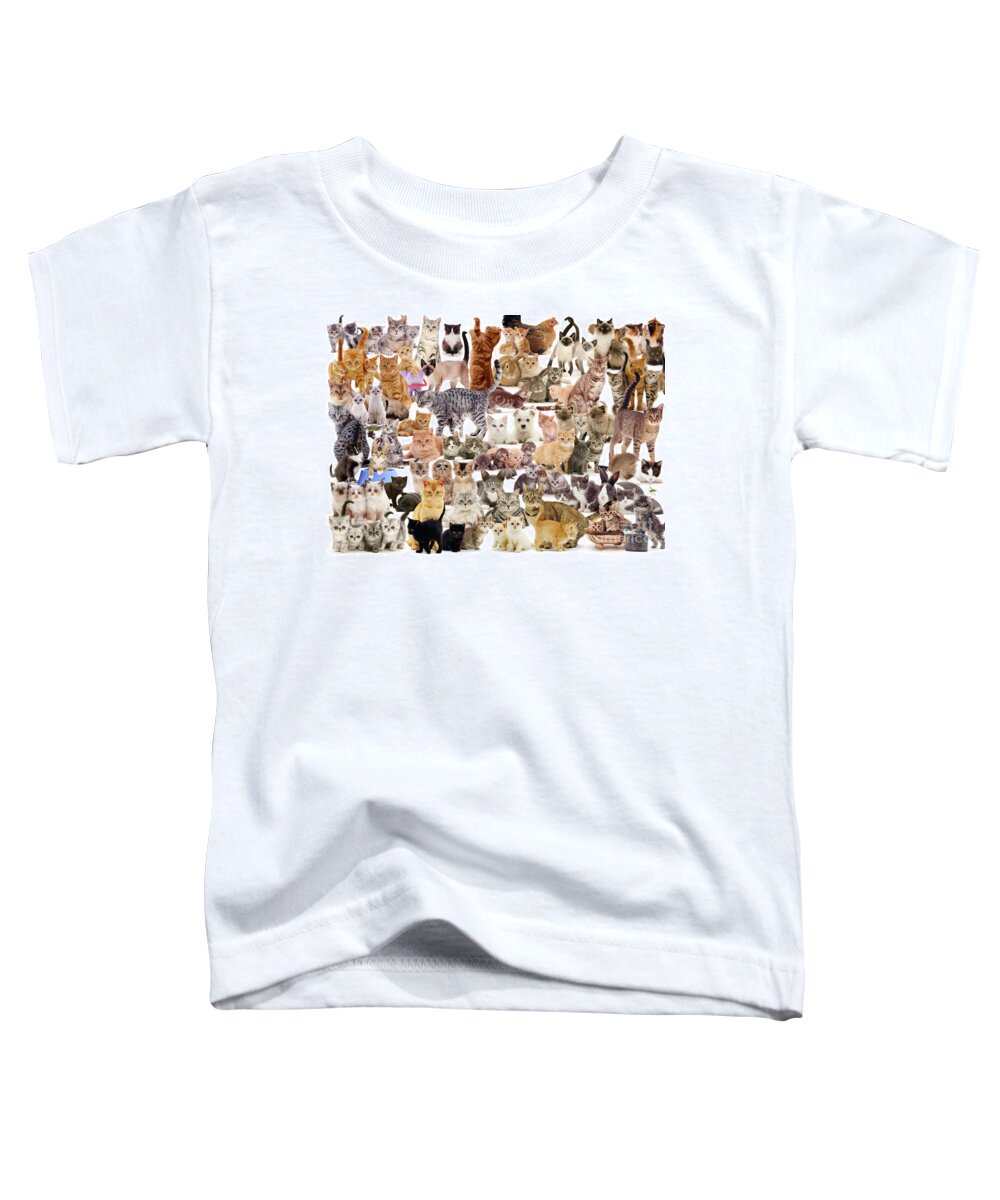 Cat Toddler T-Shirt featuring the photograph Cat Montage by Warren Photographic