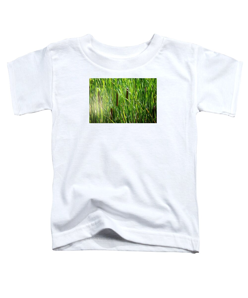 Cattails In The Morning Sun Photo Toddler T-Shirt featuring the photograph Cattails in the Morning Sun by Gwen Gibson