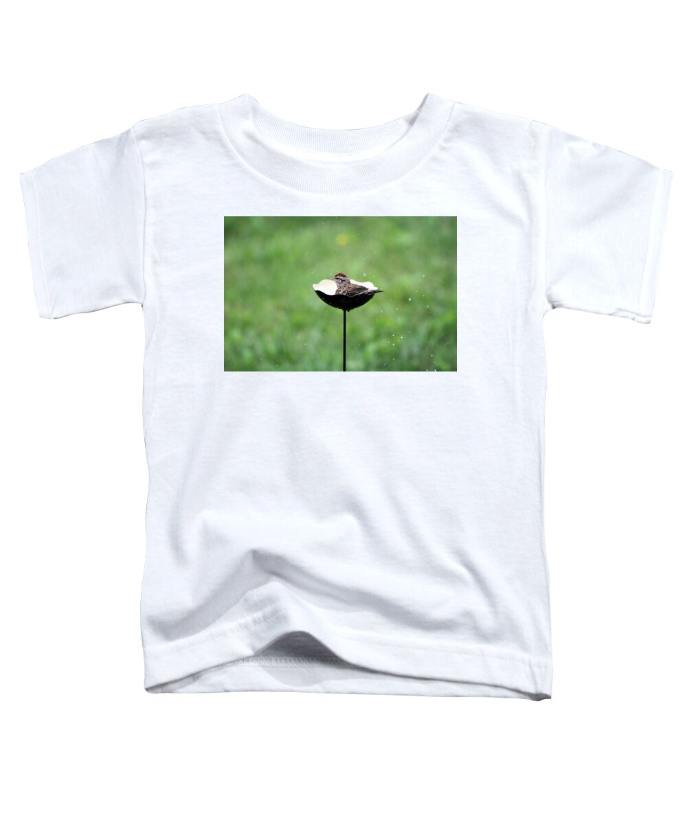 Chipping Sparrow Toddler T-Shirt featuring the photograph Chipping Sparrow Bath by Jackson Pearson