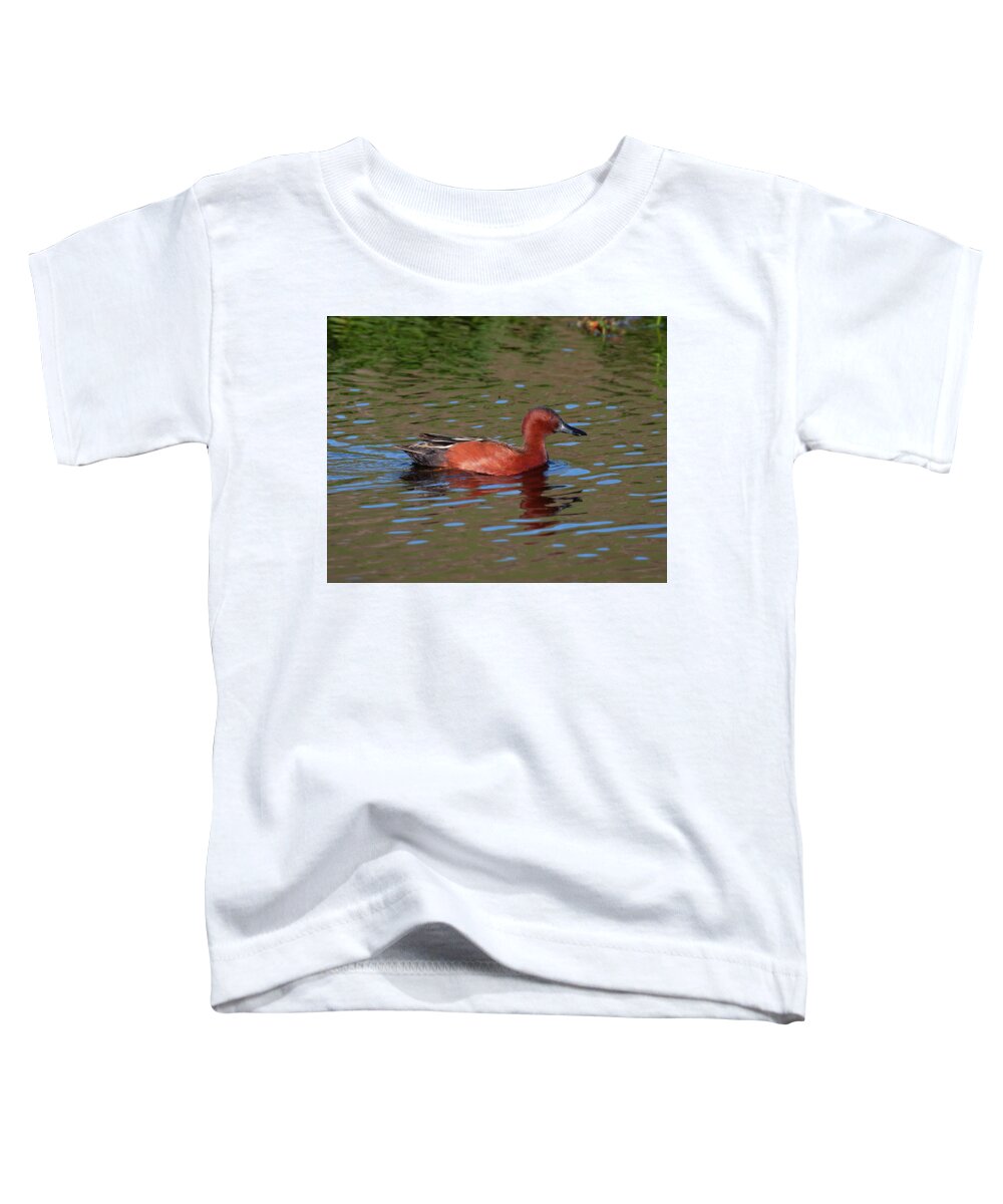 Mark Miller Photos Toddler T-Shirt featuring the photograph Cinnamon Teal in Pretty Water by Mark Miller