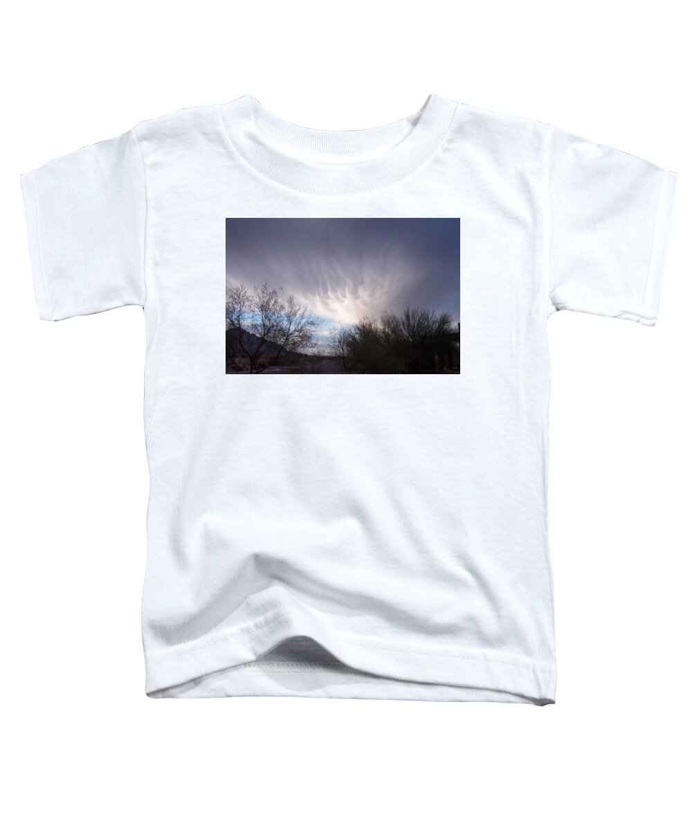 Skyscape Toddler T-Shirt featuring the painting Clouds in desert by Mordecai Colodner