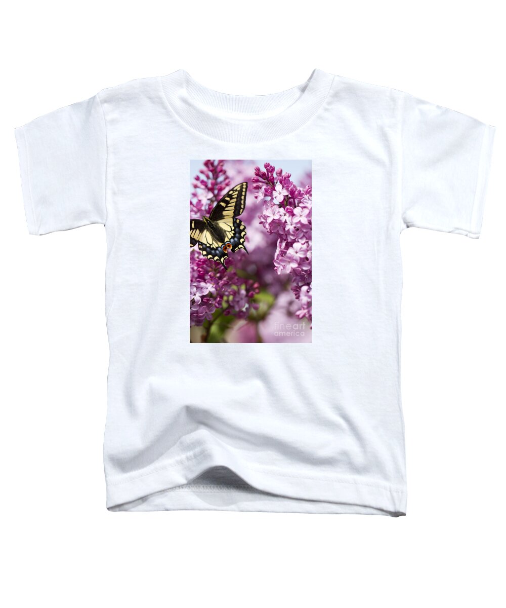 Lilac Toddler T-Shirt featuring the photograph Colorful Fly By by Douglas Kikendall