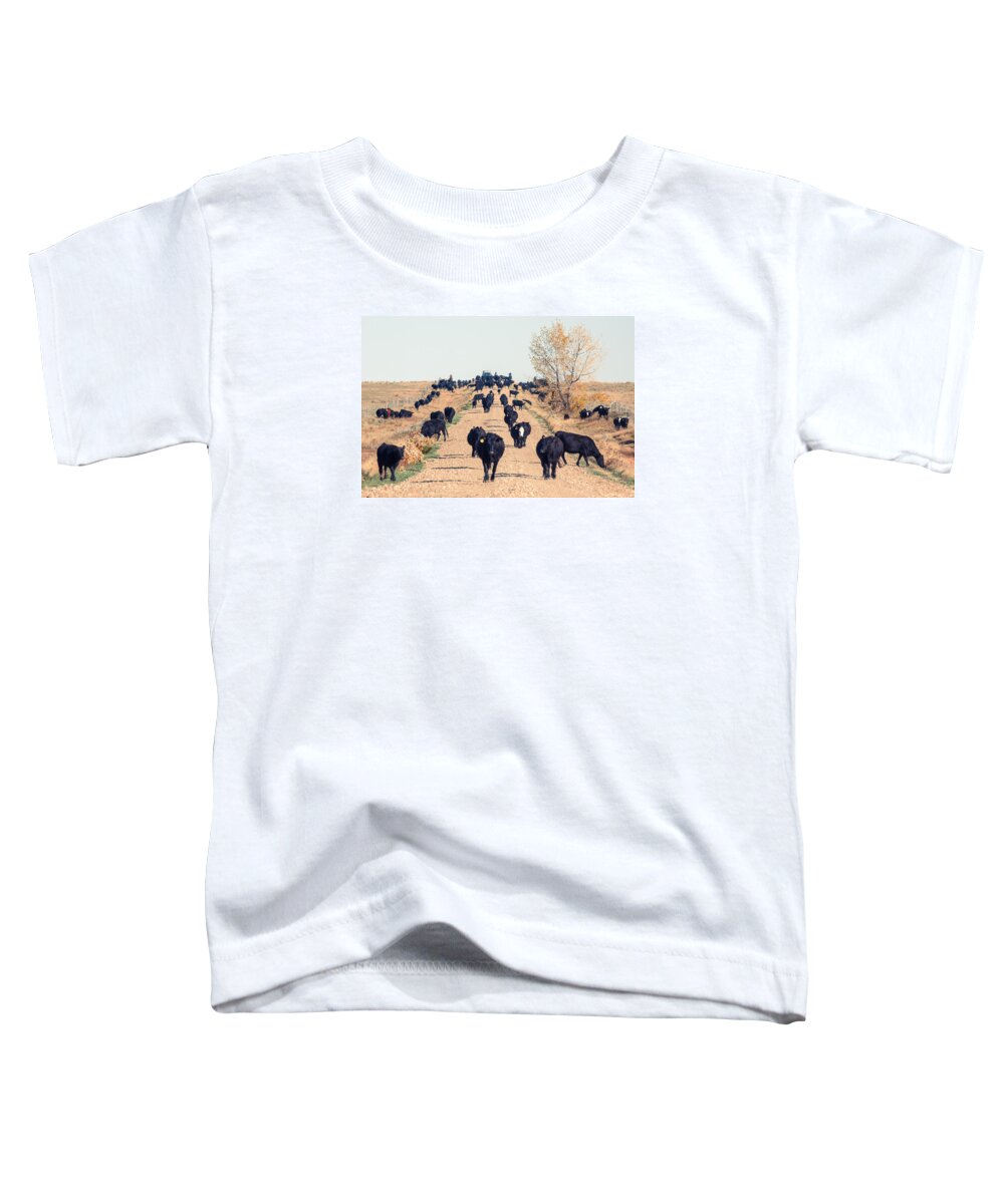 Black Angus Toddler T-Shirt featuring the photograph Coming Down the Road by Todd Klassy