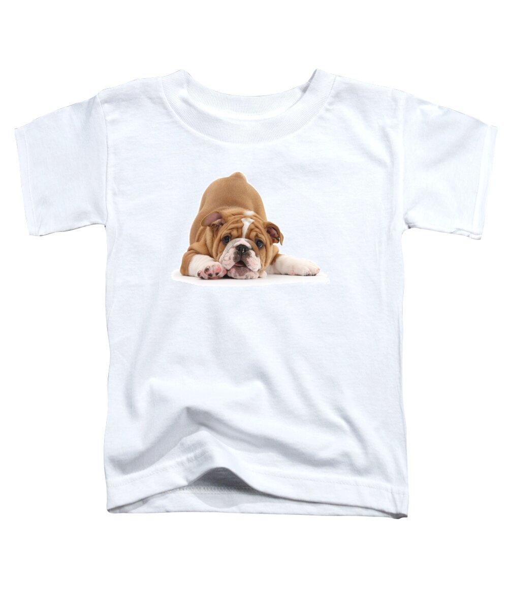 Playbow Toddler T-Shirt featuring the photograph Cone on, let's play by Warren Photographic
