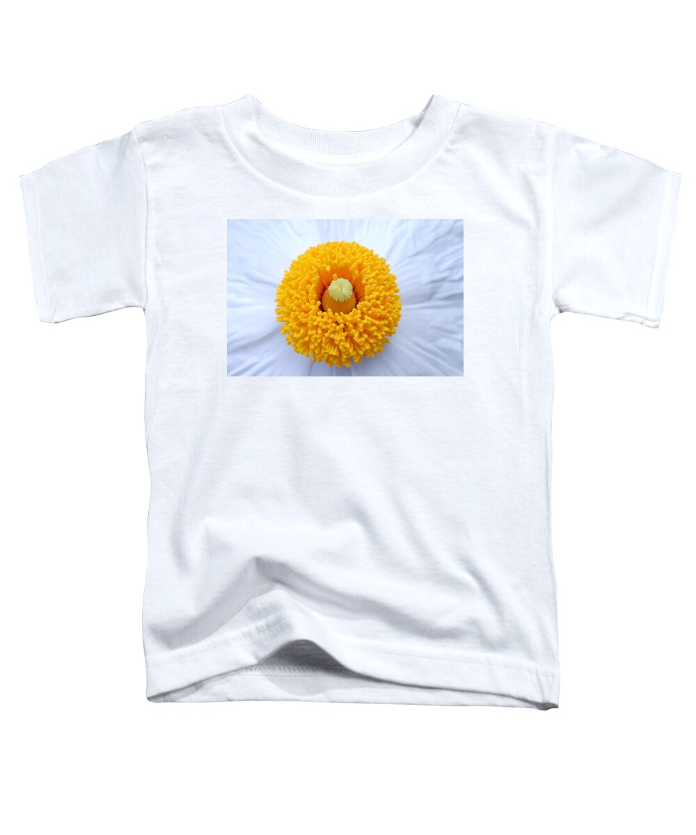 Flower Toddler T-Shirt featuring the photograph Coulter's Poppy 2 by Amy Fose